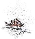 spatzen.gif